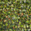 Artificial Lemon Leaf Expanding Trellis (180cm x 60cm) 2