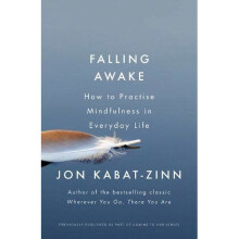 Falling Awake: How to Practice Mindfulness in Everyday Life (Coming to Our Senses Part 2)