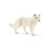 Schleich Schleich Arctic Fox 1