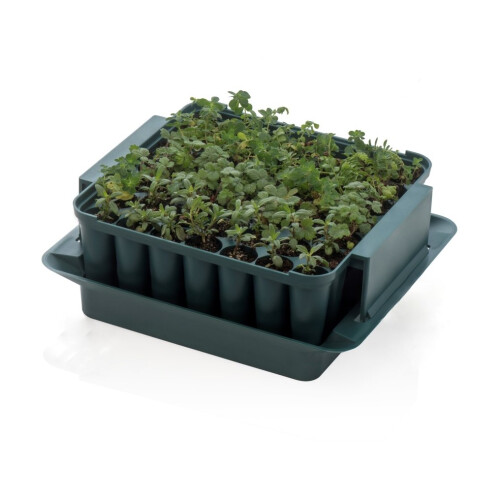 Plug Plant Trainer 2
