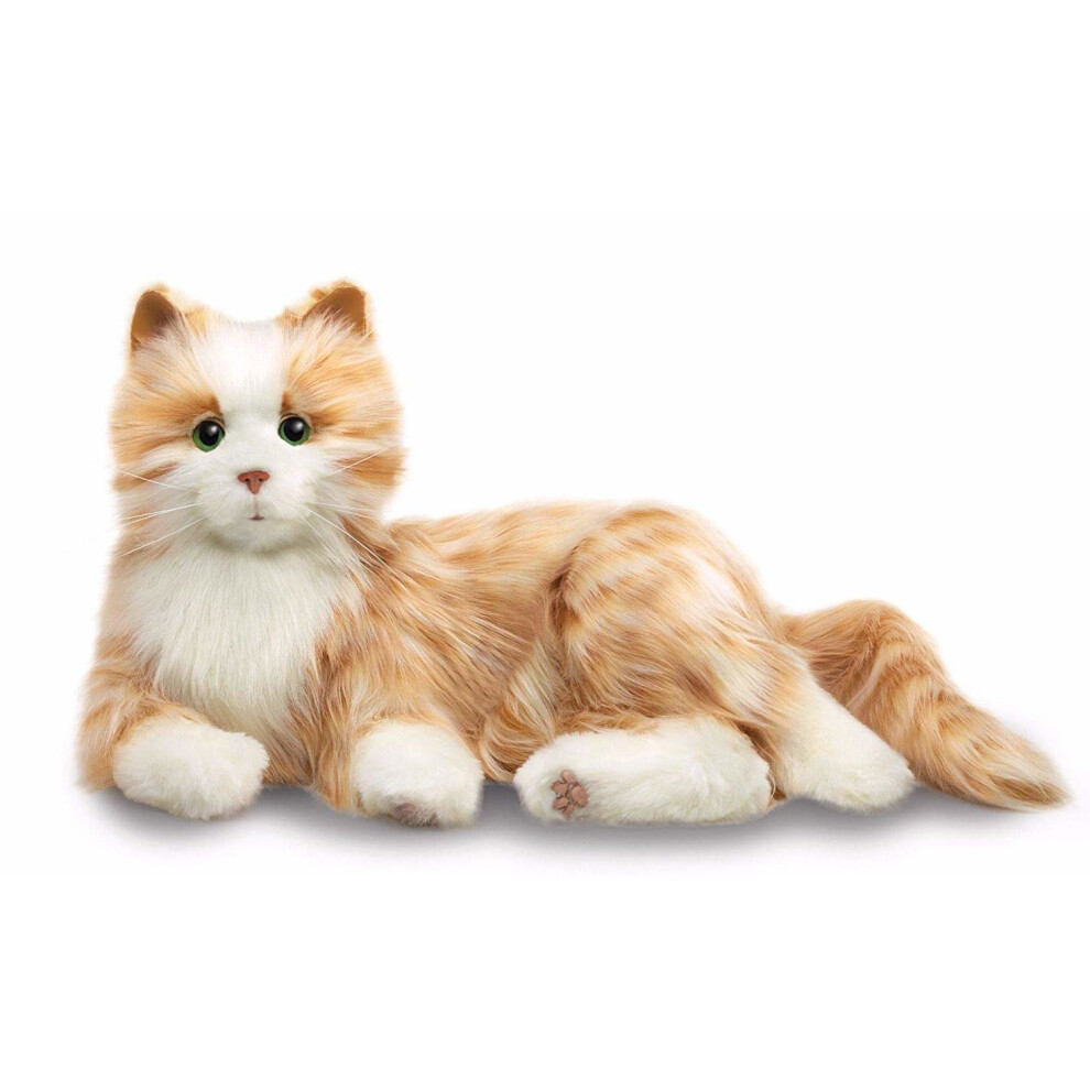 JOIE POUR TOUS - Chat tigr   orange - Animaux de compagnie interactifs - R  aliste et r  aliste