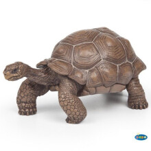 Figurinha Tartaruga das Galápagos - Papo - Coleção Vida Selvagem - Brinquedo para Crianças de 3 a 10 anos