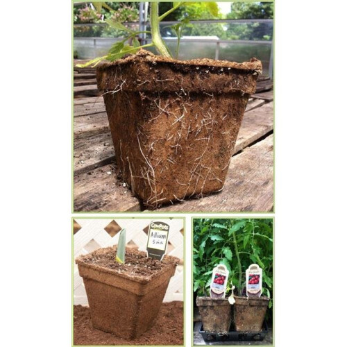 CowPots #6 Round Pot - 20 pots