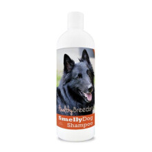Healthy Breeds 192959001532 8 oz Belgian Sheepdog Smelly Dog Baking Soda Shampoo