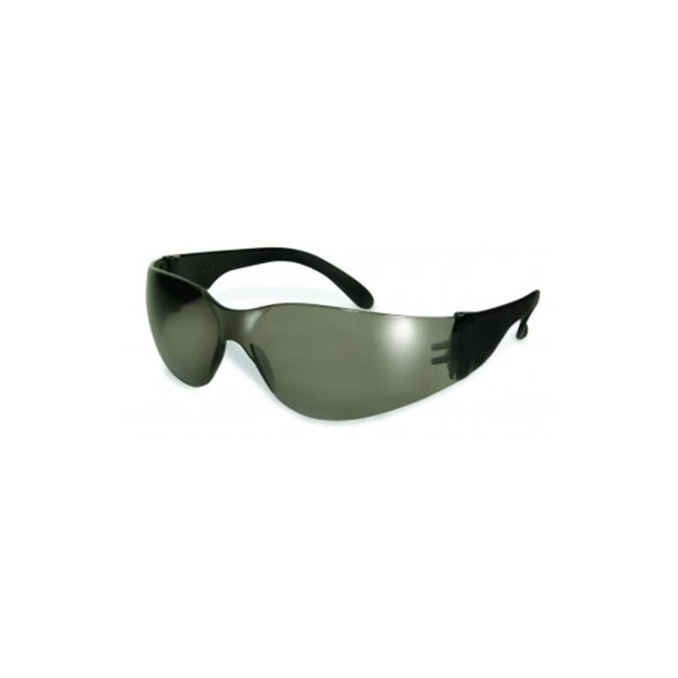 Safety I Pro-Rider Safety Glasses With Smoke Lens, Set Of 12 787217609102