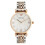 Armani Emporio Armani klassisk perlemor-damesur i rustfrit stål AR1683 1