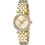 Michael Kors Michael Kors MK3295 Darci Gold Ladies Watch 1