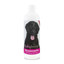 Healthy Breeds 192959000603 8 oz Flat Coated Retriever Chamomile Soothing Dog Shampoo
