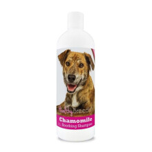 Healthy Breeds 192959000498 8 oz Plott Chamomile Soothing Dog Shampoo