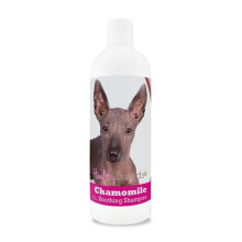 Healthy Breeds 192959000351 8 oz Xoloitzcuintli Chamomile Soothing Dog Shampoo