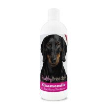 Healthy Breeds 192959000535 8 oz Dachshund Chamomile Soothing Dog Shampoo