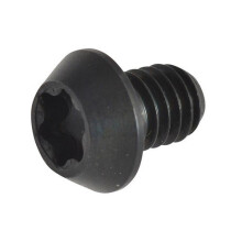 Trend RT/3.5 RT/3.5 Torx Ersatzschrauben