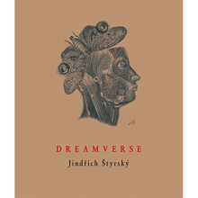 Dreamverse (Image to Word)