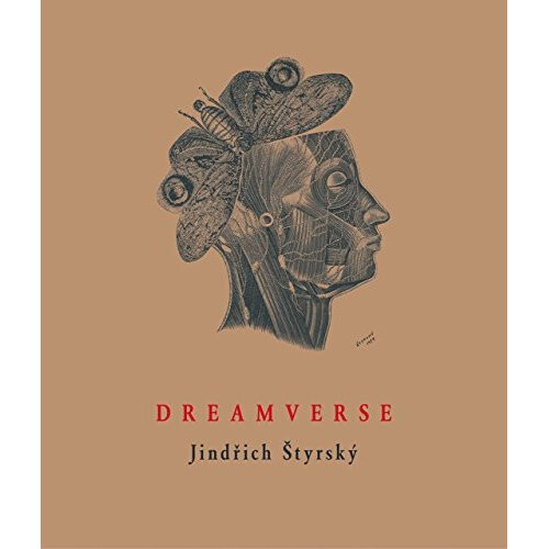 Dreamverse (Image to Word)