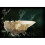 Harry Potter Replik der Harry Potter Kristallpokale - Noble Collection 1