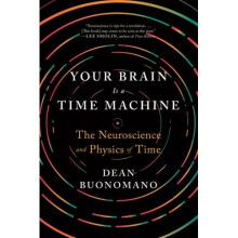 Your Brain Is a Time Machine