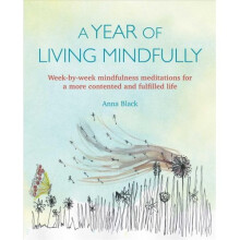 A Year of Living Mindfully