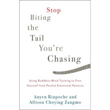 Stop Biting the Tail You're Chasing