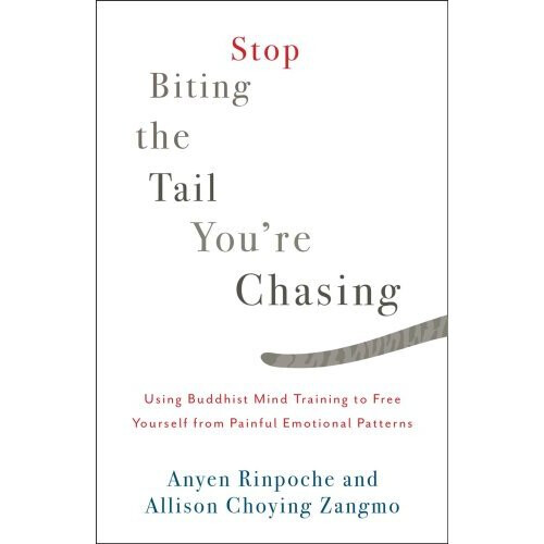 Stop Biting the Tail You're Chasing