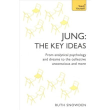 Jung: The Key Ideas