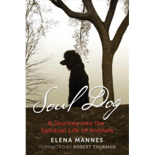 Soul Dog