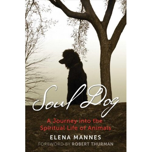 Soul Dog