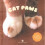 Cat Paws 1
