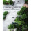 Company Gardens 1
