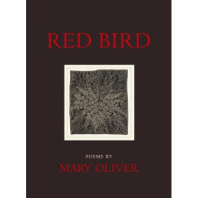 Red Bird