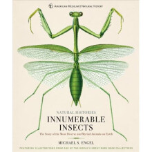Innumerable Insects