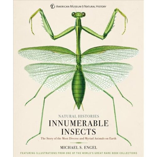 Innumerable Insects