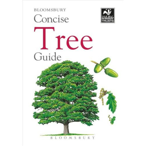 Concise Tree Guide
