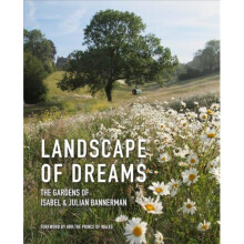 Landscape of Dreams