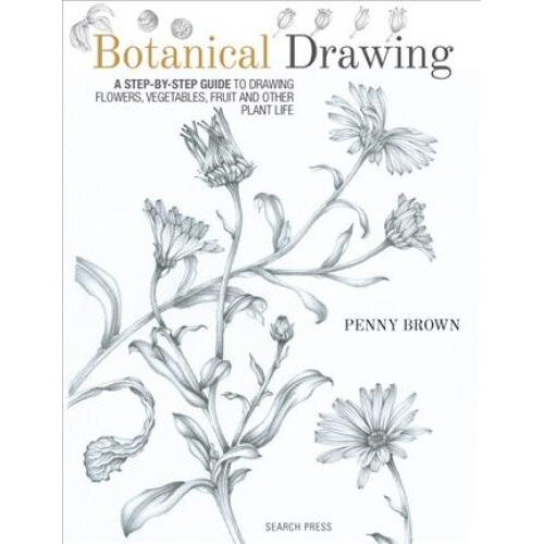 Botanical Drawing