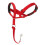 Halti (Size 3, Red) Halti Head Collar 1