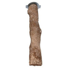 (7.5 Inch, Brown) Beaks Perch Of Sea Shells Parrot Toy