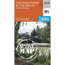 Thetford Forest in the Brecks