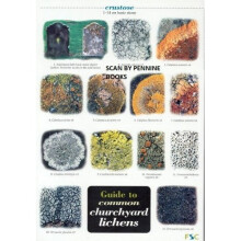 Guide to Common Churchyard Lichens