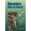 Darwin's Man in Brazil 1