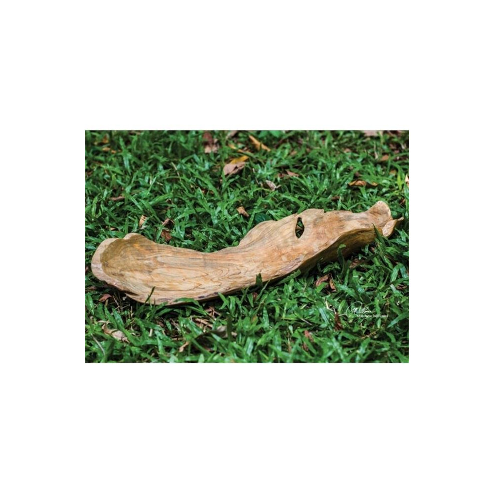 Uttermost Grain 17085 Teak Leaf Bowl