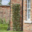 Smart Garden Products Expanding Trellis Artificial Green Maple Fence Screening 180cm 2