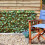 Smart Garden Products Expanding Trellis Artificial Green Maple Fence Screening 180cm 5