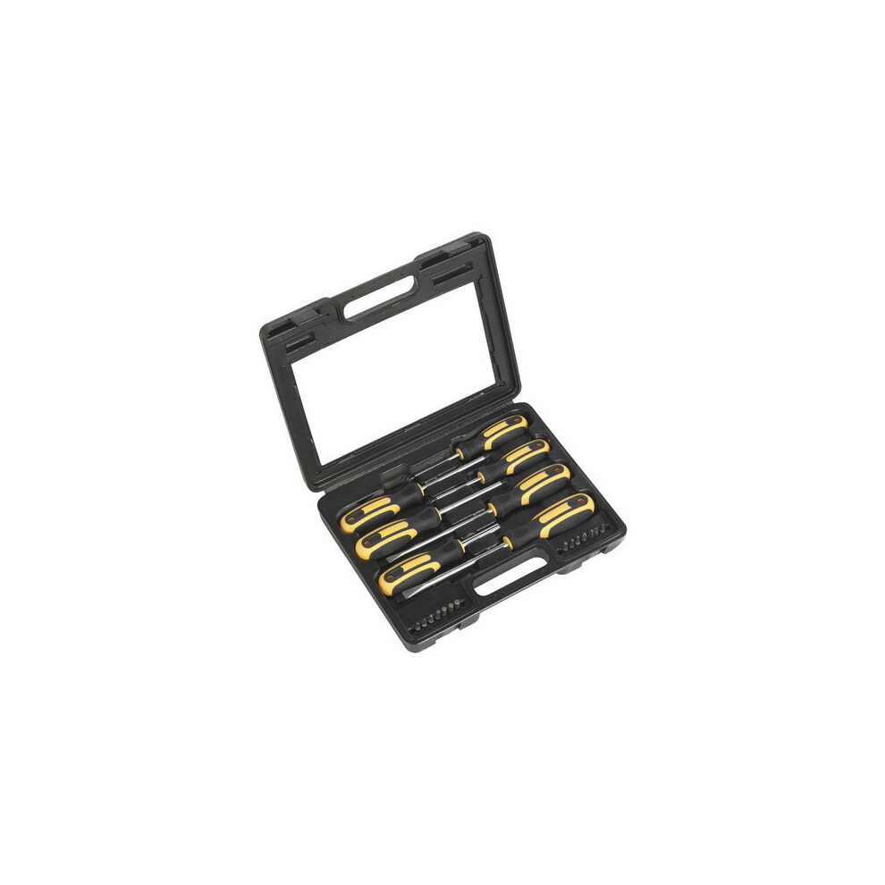 Sealey Siegen S0923 21pc Screwdriver Set with Carry-Case