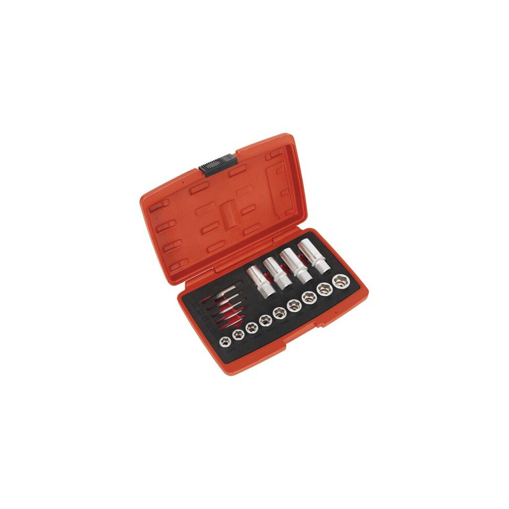 Sealey AK751 Bolt, Stud & Screw Extractor Set 18pc
