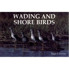 Wading & Shore Birds: A Photographic Study by Roger Everett - 100+ Color Images of 38 Species