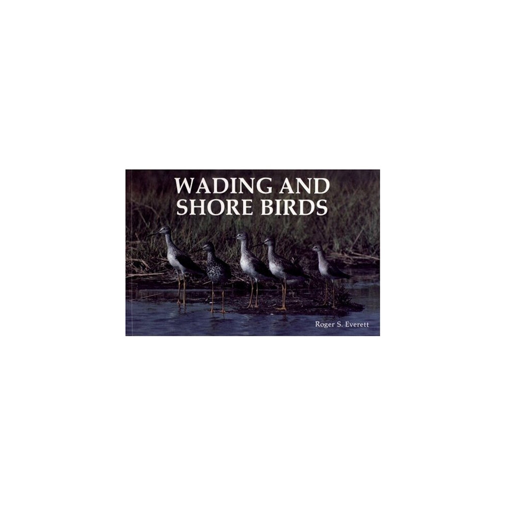 WADING & SHORE BIRDS (Photographic Study)