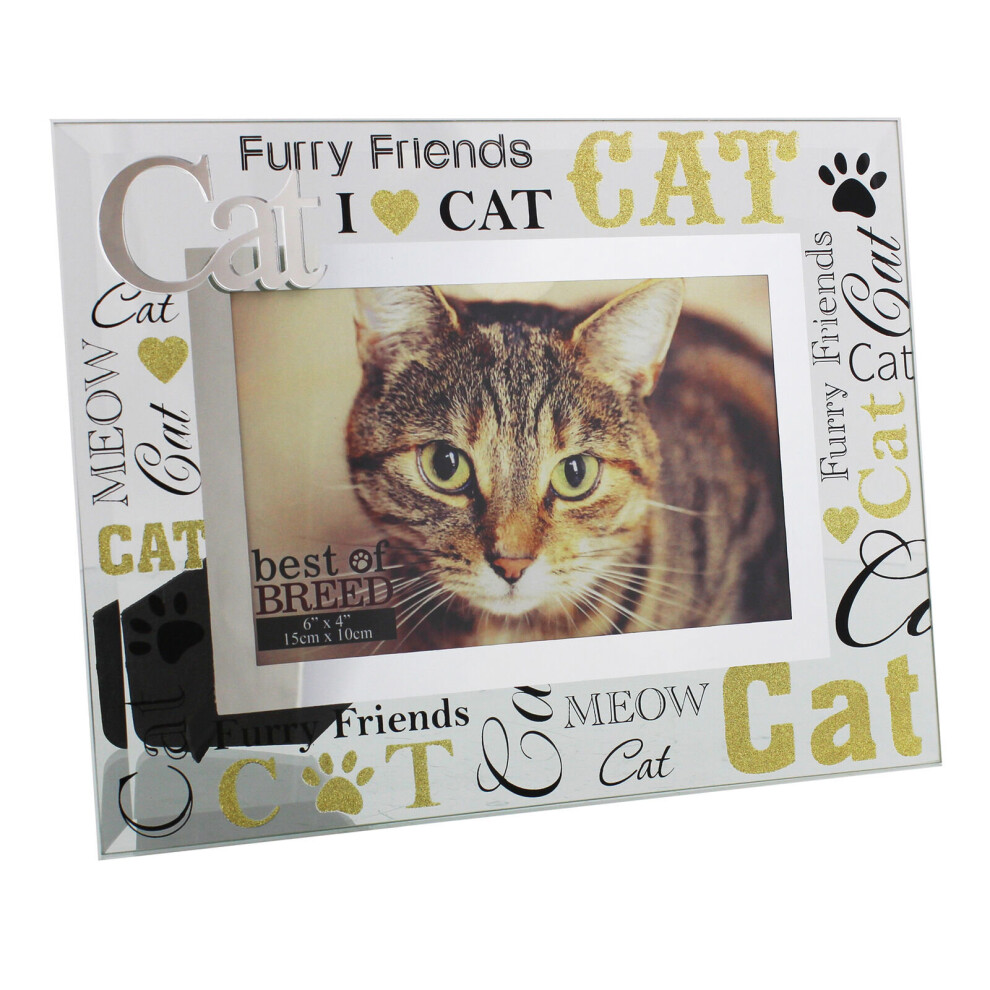 Glass 6 x 4 Photo Frame with Mirror Glass and Glitter Letters - Cat