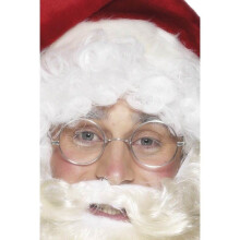 Wire Framed Santa Specs.