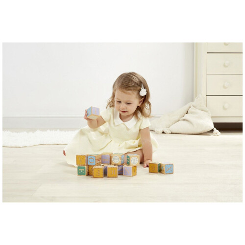 Rainbow Designs Peter Rabbit Wooden ABC Picture Blocks 1