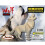 Puzzled Grey Wolf 3D Woodcraft Construction Kit 1